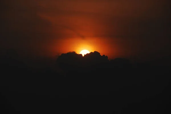 Una Silueta Copas Árboles Una Puesta Sol Dorada — Foto de Stock