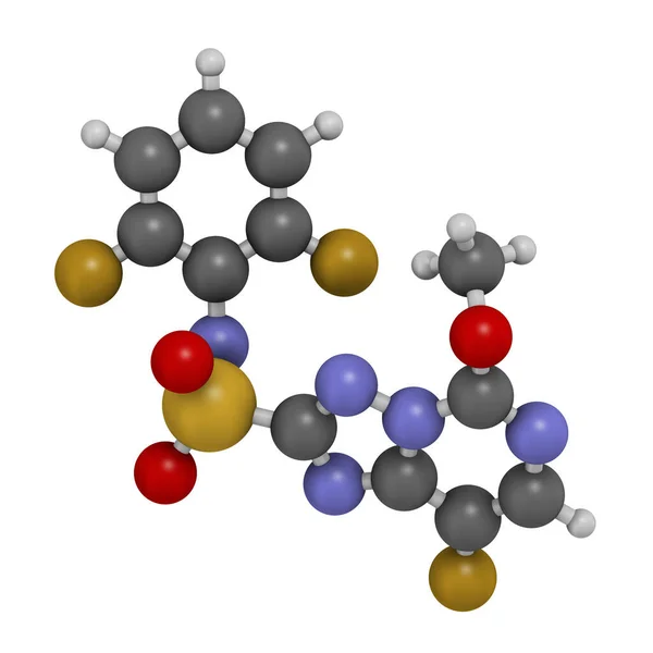 Molekula Herbicidu Florasulam Vykreslování Atomy Jsou Reprezentovány Jako Koule Konvenčním — Stock fotografie
