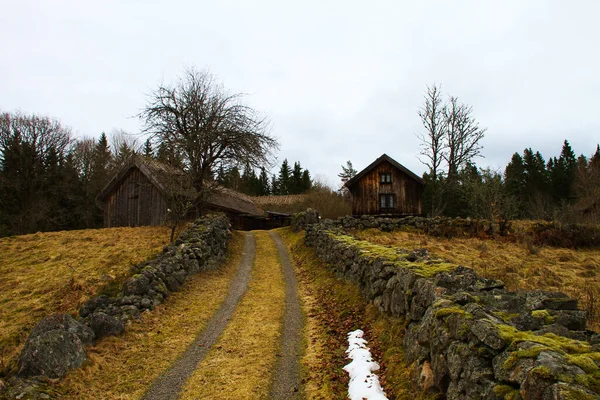 Ett Vinterlandskap Inne Med Gult Gräs Väg Och Hus — Stockfoto