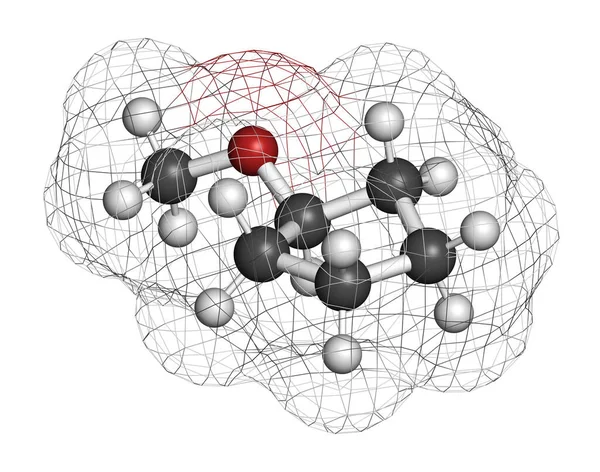 Cyclopentyl Methyl Ether Solvant Molecule Rendering Les Atomes Sont Représentés — Photo