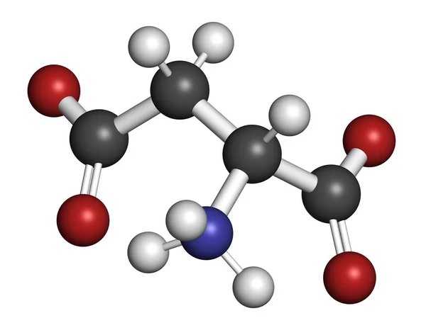 Asparaginsyra Aspartat Aminosyramolekyl Återgivning Atomer Representeras Som Sfärer Med Konventionell — Stockfoto