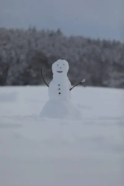 Kardan Adamın Karla Kaplı Bir Alanda Dikey Görüntüsü Bulanık Bir — Stok fotoğraf