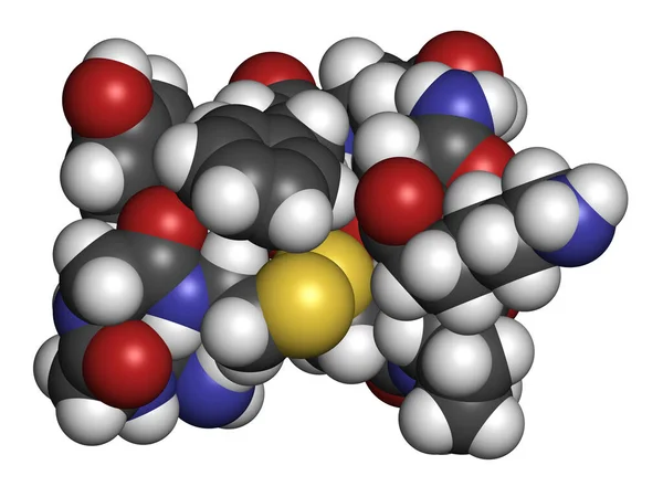 Terlipresszin Gyógyszer Molekula Renderelés Atomok Hagyományos Színkódolású Gömbökként Vannak Ábrázolva — Stock Fotó