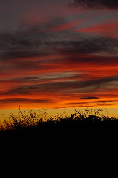 Uma Silhueta Grama Prado Pôr Sol Dramático — Fotografia de Stock