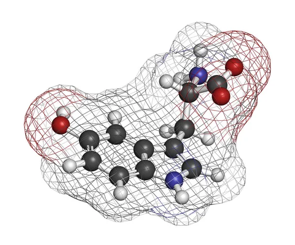 Hidroxitriptófano Molécula Aminoácidos Representación Los Átomos Representan Como Esferas Con — Foto de Stock