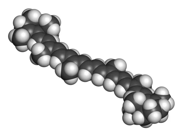 Betakarotenpigmentmolekyl Återgivning Atomer Representeras Som Sfärer Med Konventionell Färgkodning Väte — Stockfoto