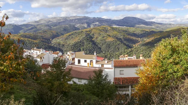 Villaggio Pujerra Circondato Dalla Foresta Castagni Serrania Ronda Spagna Meridionale — Foto Stock