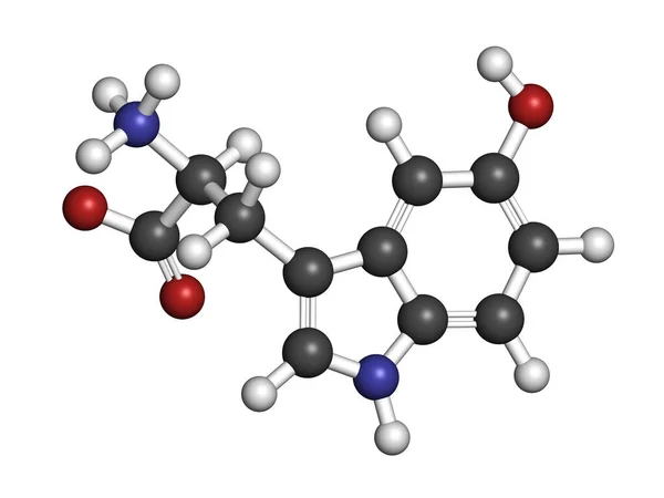 Hidroxitriptofano Molécula Aminoácido Renderização Átomos São Representados Como Esferas Com — Fotografia de Stock