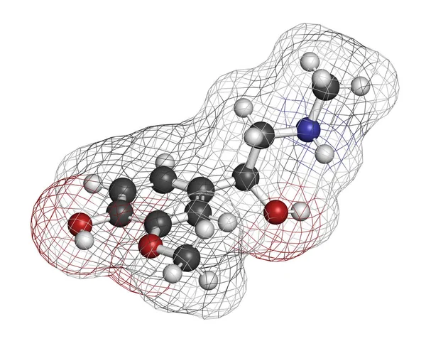 甲基肾上腺素 Metadrenaline 肾上腺素代谢物 是嗜铬细胞瘤的生物标记物 3D渲染 原子被表示为球体 — 图库照片