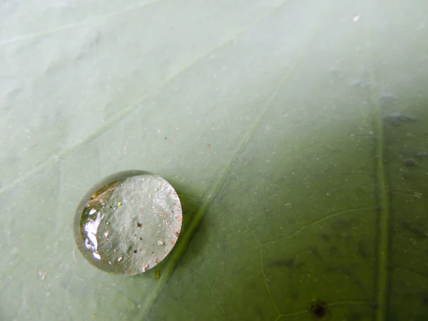 Macro Shot Water Droplet — Stock Photo, Image