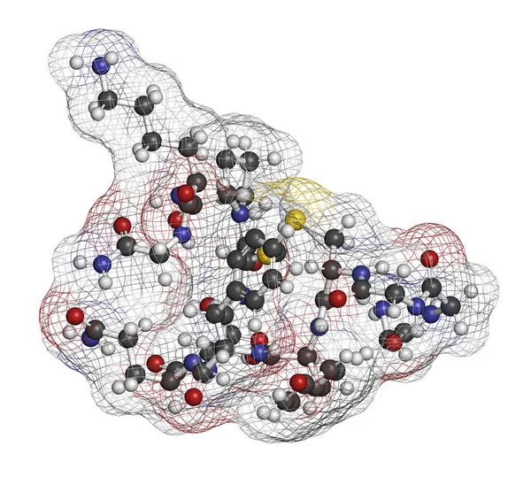 泰利霉素药物分子 3D渲染 原子被表示为具有常规颜色编码的球体 — 图库照片