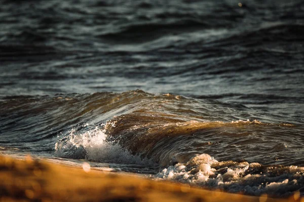 Primo Piano Onda Oceanica Con Luce Del Sole Che Attraversa — Foto Stock