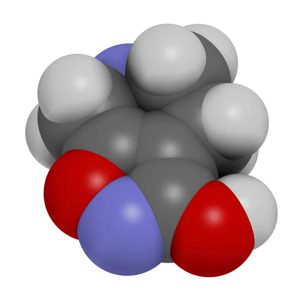 Molécula Droga Gaboxadol Representación Los Átomos Representan Como Esferas Con —  Fotos de Stock