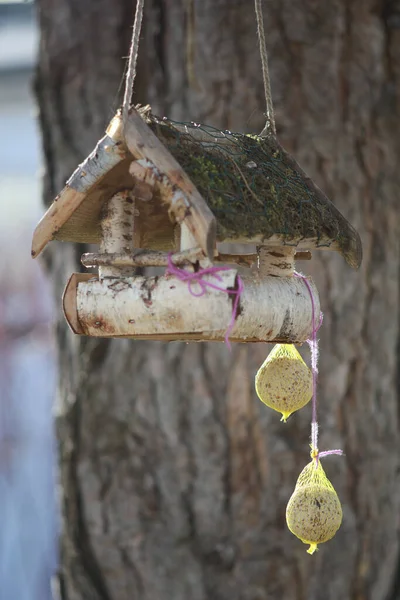 Eine Vertikale Aufnahme Eines Winzigen Vogelhauses Mit Futter Das Einem — Stockfoto