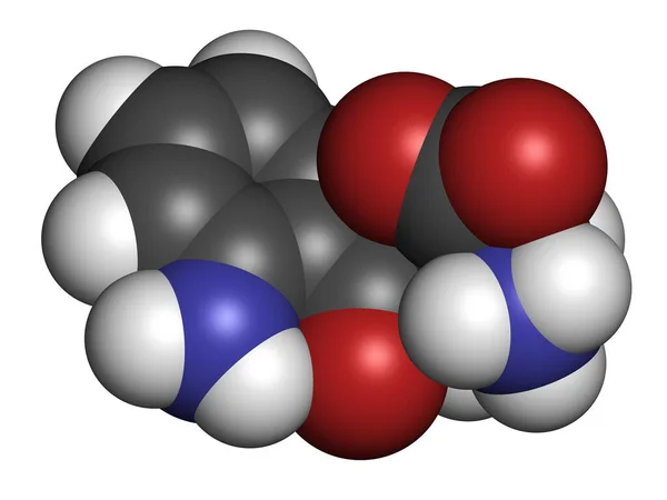 Kynurenine分子 3D渲染 原子被表示为具有常规颜色编码的球体 — 图库照片