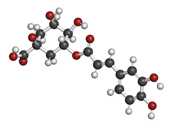Molécula Ervas Ácido Clorogénico Renderização Átomos São Representados Como Esferas — Fotografia de Stock
