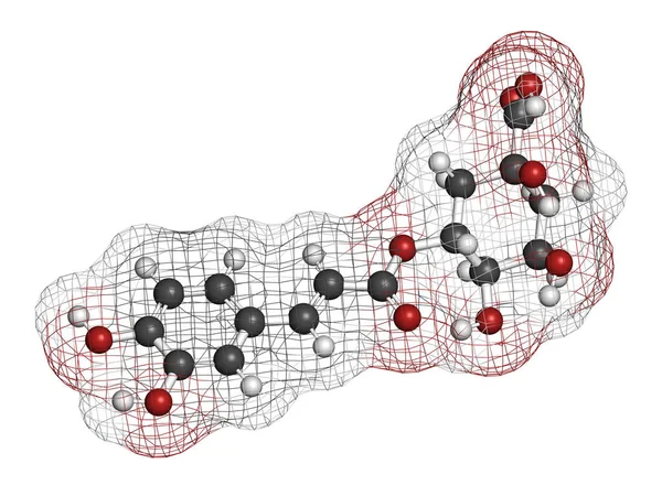 Chlorogenic Acid Herbal Molecule Rendering Atoms Represented Spheres Conventional Color — Stock Photo, Image