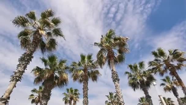 Hermosa Vista Del Mar — Vídeos de Stock