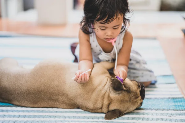 Uma Menina Tailandesa Brincando Médico Com Seu Buldogue Francês — Fotografia de Stock