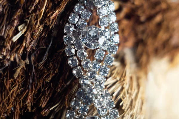 Κοντινό Πλάνο Μιας Συστροφής Βραχιολιού Καλυμμένης Αφρώδη Διαμάντια — Φωτογραφία Αρχείου
