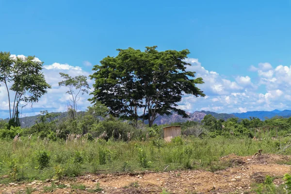 Uma Estrada Campo Verde — Fotografia de Stock