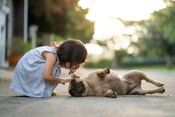 Uma Menina Bonita Brincando Com Bulldog Francês Estrada — Fotografia de Stock