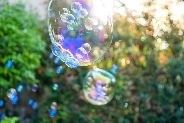 Een Close Shot Van Drijvende Zeepbellen Een Park — Stockfoto