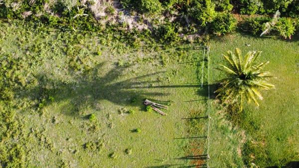Uma Vista Aérea Árvores Tropicais Perto Costa — Fotografia de Stock