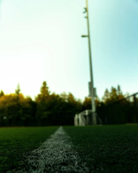 Tiro Vertical Grama Campo Futebol Capturado Dia Ensolarado — Fotografia de Stock