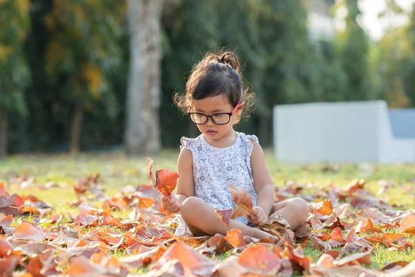 Ένα Μικρό Ασιατικό Θηλυκό Παιδί Παίζει Ένα Πάρκο Φθινοπωρινά Φύλλα — Φωτογραφία Αρχείου