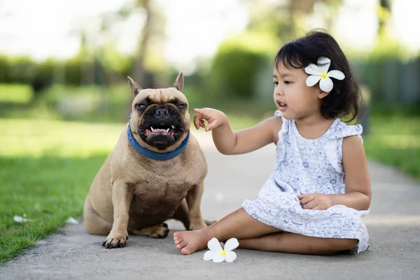Uma Adorável Menina Asiática Brincando Com Seu Animal Estimação Bulldog — Fotografia de Stock