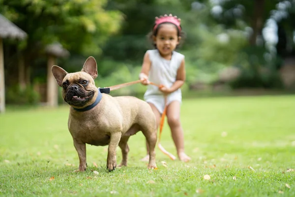 Bonito Sudeste Asiático Criança Menina Com Seu Bulldog Francês Livre — Fotografia de Stock