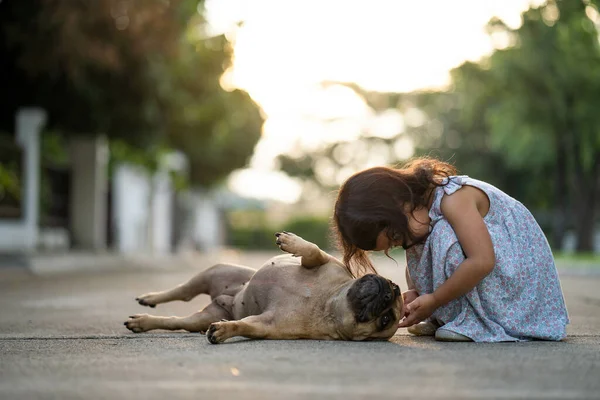 Uma Pequena Criança Asiática Brincando Com Seu Animal Estimação Bulldog — Fotografia de Stock