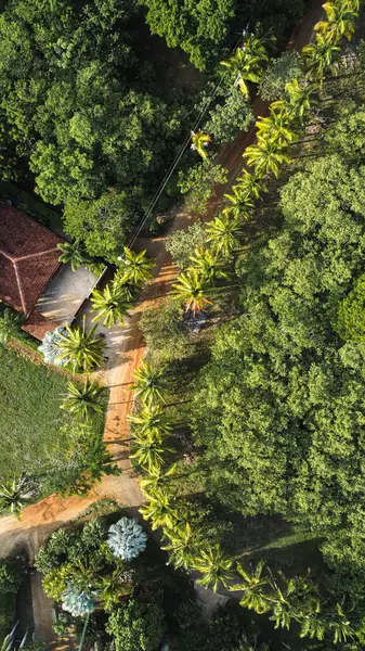 Una Vista Aérea Una Casa Descanso Rodeada Árboles Tropicales — Foto de Stock