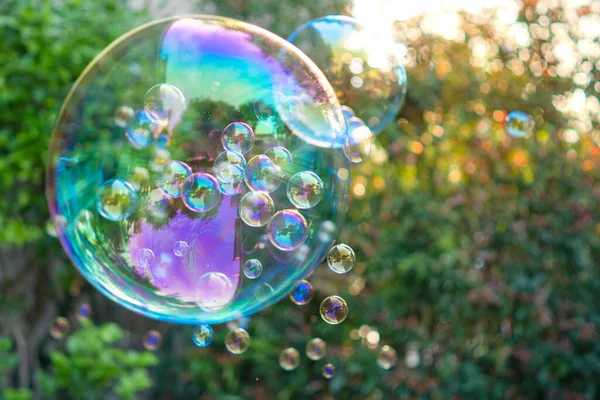 A closeup shot of floating soap bubbles in a park