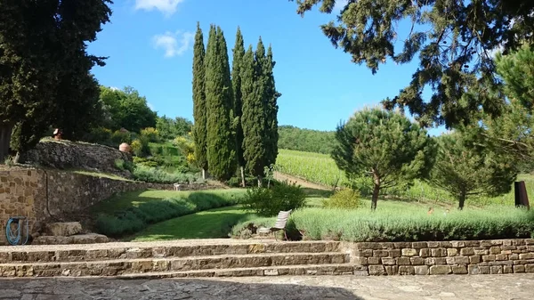 Uma Vista Panorâmica Jardim Com Vegetação Exuberante Toscana Itália — Fotografia de Stock