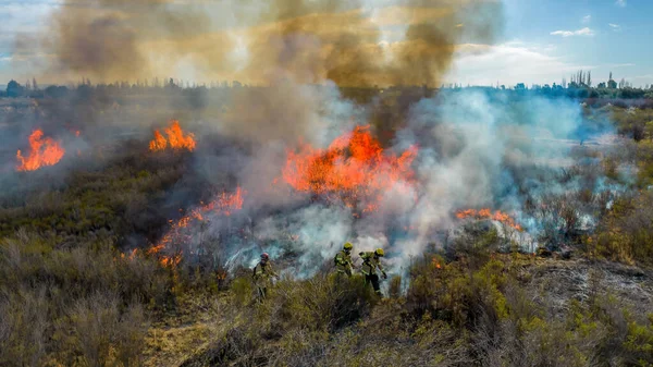 Вид Воздуха Храбрых Пожарных Потушил Пожар Лесу — стоковое фото