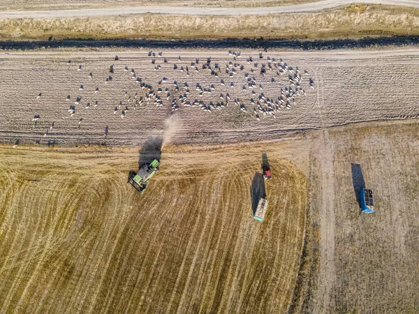 Una Vista Superior Las Tierras Agrícolas Las Máquinas Agrícolas — Foto de Stock