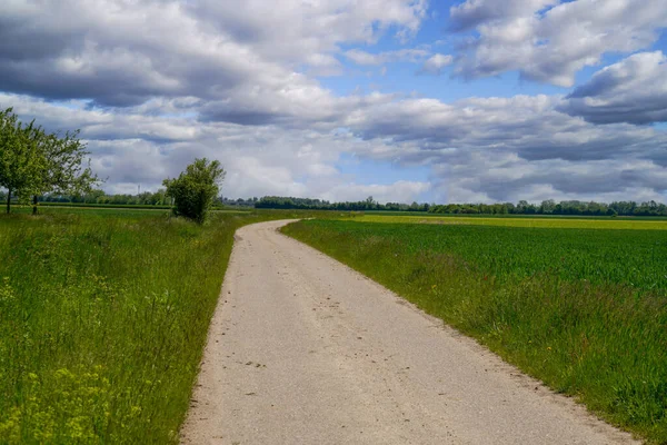 Een Schilderachtig Uitzicht Een Pad Omringd Door Groene Weiden Een — Stockfoto