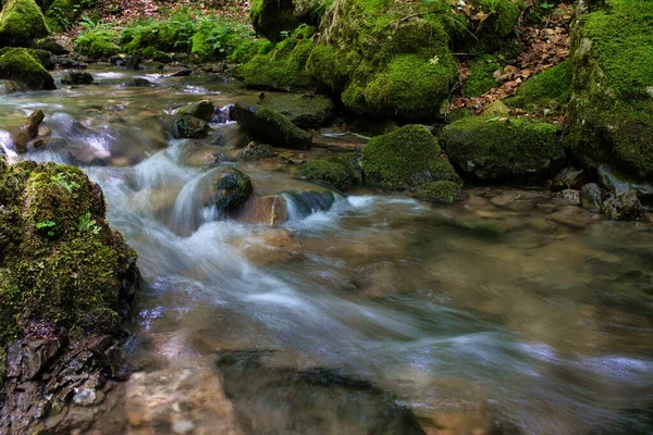 美丽的森林 溪流和布满苔藓的岩石的特写镜头 — 图库照片