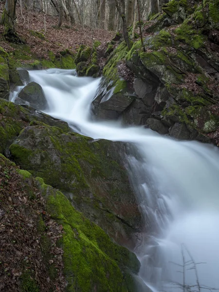 Beautiful Shot Waterfall Forest — Stock Photo, Image