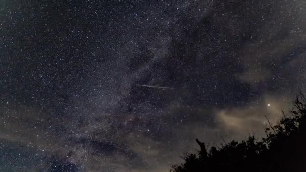 Cielo Nocturno Con Estrellas Nubes — Vídeos de Stock