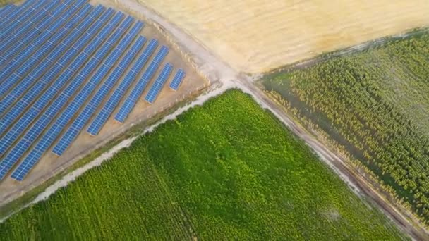 Солнечная Электростанция Батареями Установленными Ряд — стоковое видео