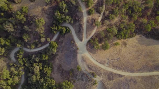 森林中道路的鸟瞰图 — 图库视频影像