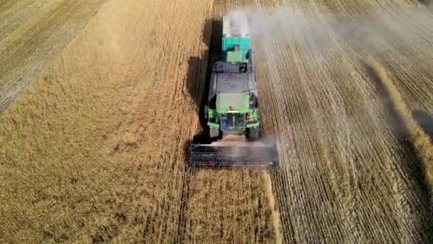 Hasat Makinesini Tarlada Çalışan Bir Traktörle Birleştir — Stok video