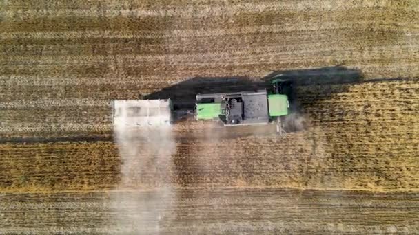 Luftaufnahme Des Traktors Feld — Stockvideo