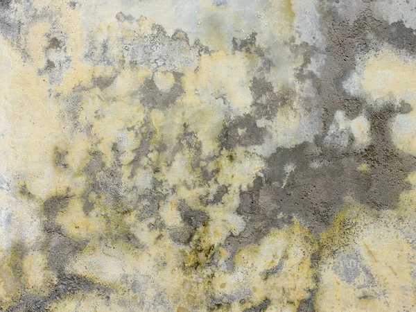 Shabby Paints Old Grunge Wall — Stock Photo, Image