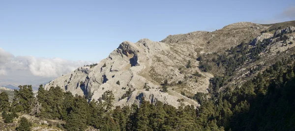 Vacker Utsikt Över Sierra Las Nieves Torrecilla Nationalpark Malaga Andalusien — Stockfoto