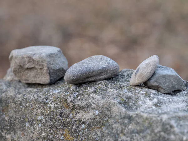 一张小岩石的特写照片 — 图库照片