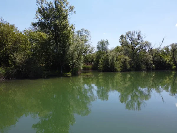 白天环绕着自然的湖景 — 图库照片